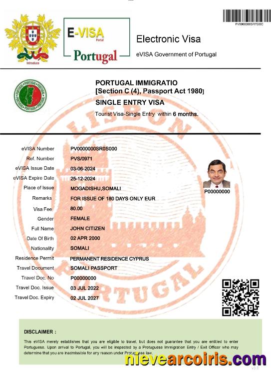 Portugal electronic visa